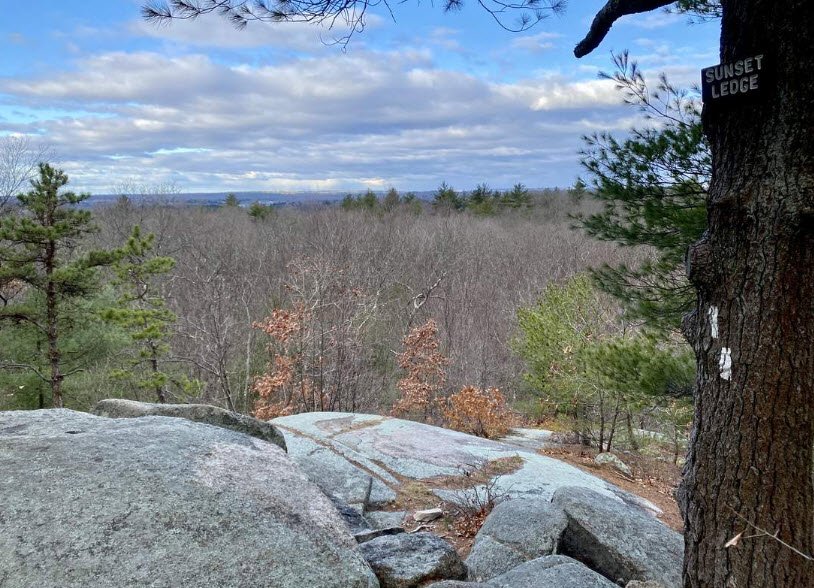 F. Gilbert Hills State Forest, Massachusetts, USA